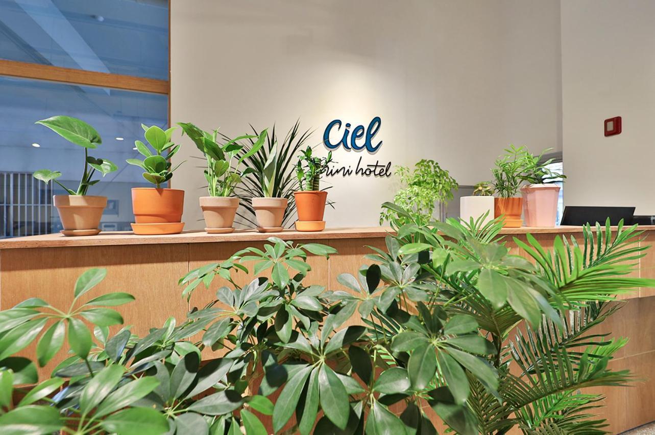 Ciel Mini Hotel Gyeongju Ngoại thất bức ảnh